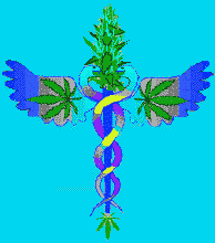 The caduceus and the cannabis flower entwined.